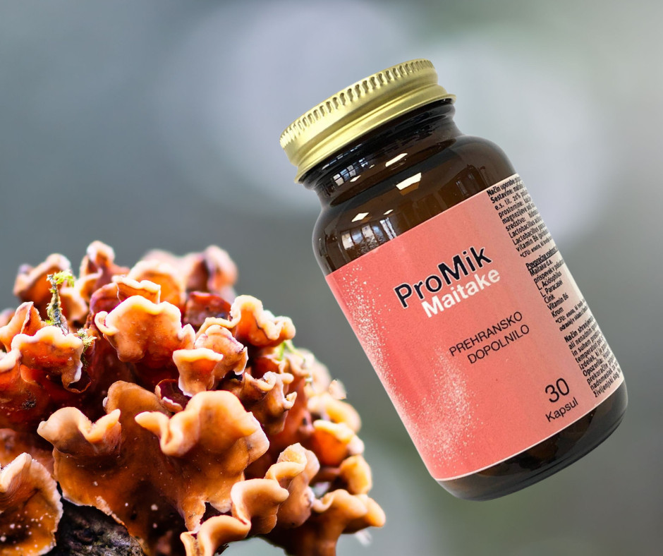 ProMik Maitake probiotiki z gobo Maitake – naravna kombinacija za podporo imunskemu sistemu in črevesni mikroflori.