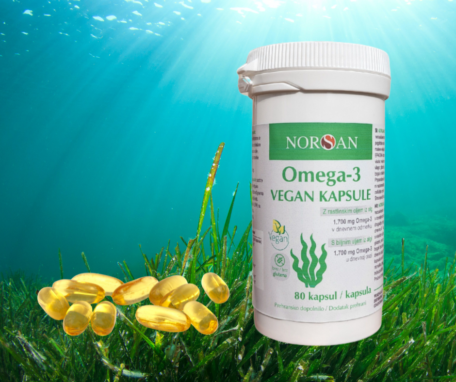 Embalaža in kapsule Omega 3 za črevesje, postavljene na zelene alge na morskem dnu – naravni vir iz morskih alg.